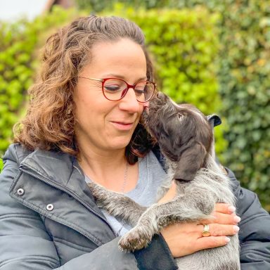 Steffi von Dollen mit Deutsch Drahthaar Welpen