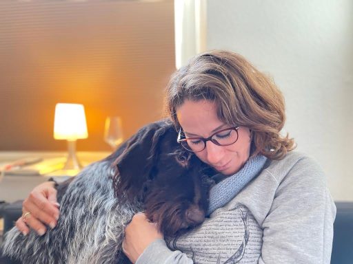Steffi von Dollen mit Deutsch Drahthaar Hündin
